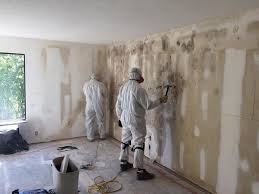 Asbestos and Lead Testing During Mold Inspection in Picayune, MS